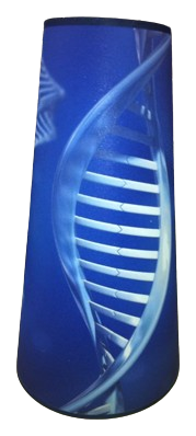 DNA Strand lampshade